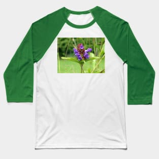 Self Heal - Prunella Vulgaris Baseball T-Shirt